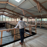 Donal inspecting the new facilities at Château Leoville Barton