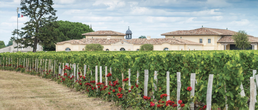 Chateau Petrus Vineyards Pomerol France